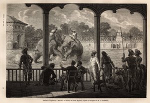 Ein Elefantenkampf in Baroda (Vadodara), Bundesstaat Gujarat an der Nordostküste Indiens. Gravur zur Illustration der Reise in Indien der Rajahs, von Louis Rousselet, 1864-1868, veröffentlicht in "Le tour du monde" 1870-1871, herausgegeben von Edouard Char von Unknown artist