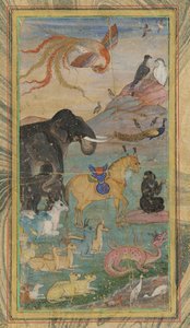 Tiere und Vögel