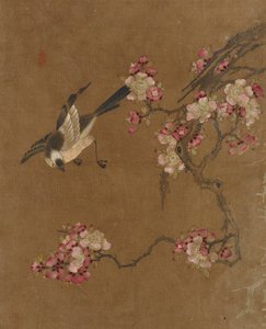 Vögel und Blumen