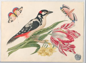 Schwarz-weiß gesprenkelter Vogel auf Tulpenstiel, mit Narzissen und Schmetterlingen von Unknown artist