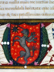 Wappen mit einem Einhorn, einem Stern auf rotem Hintergrund. (Detail) von Unknown artist