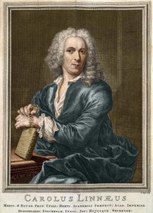 Carl von Linné, schwedischer Naturforscher und Schriftsteller (1707 - 1778)
