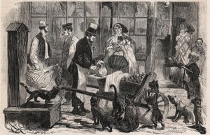 Katzenfleischmann auf einer Straße im Westminster-Viertel von London, ein gehender Pferdefleischhändler für Hunde und Katzen - Gravur in „The Illustrous World“
