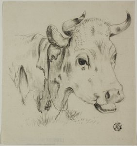 Kuhkopf von Unknown artist