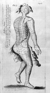 De Acupunctura von W. Ten Rhijne. London 1683. Erster westlicher Text über Akupunktur von Unknown artist