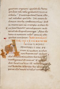 Geschmückte Initiale A