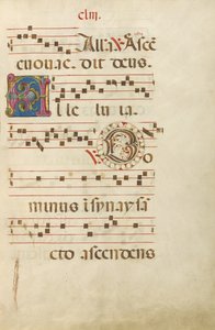 Dekorierte Initiale A; Dekorierte Initiale D von Unknown artist