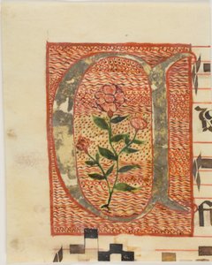 Geschmückter Initialbuchstabe "A" mit Blume aus einem Manuskript