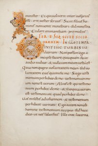 Dekorierte Initiale D von Unknown artist