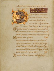 Dekorierte Initiale D