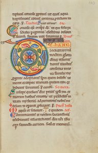 Geschmücktes Initial D von Unknown artist