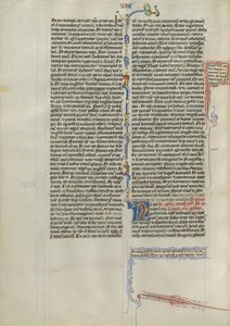 Dekorierte Initiale N