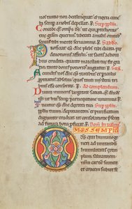 Geschmücktes Initial O