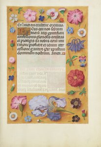 Geschmückte Textseite