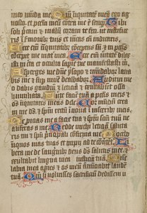 Geschmückte Textseite