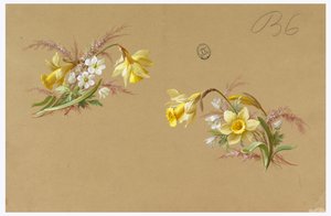 Design für Tapeten und Textilien: Blumen