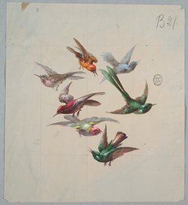 Entwurf für Tapeten und Textilien: Vögel von Unknown artist