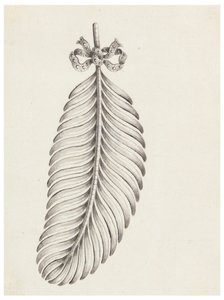 Entwurf für eine Brosche in Form einer Feder von Unknown artist
