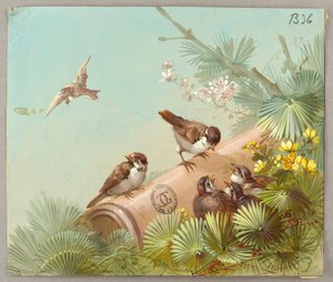 Entwürfe für Tapeten und Textilien: Blumen und Vögel