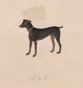 Hund von Unknown artist