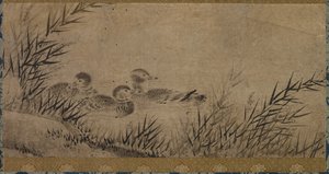 Enten und Schilf