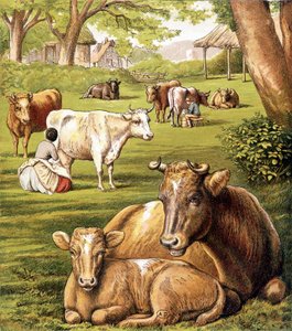Bauern beim Melken. 19. Jahrhundert von Unknown artist