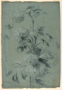 Blumendesign