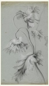 Blumendesign