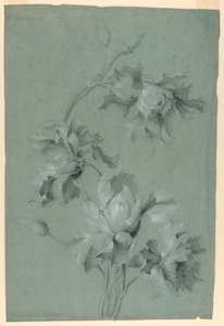 Blumendesign