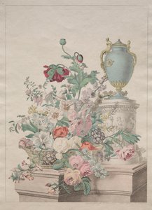 Flore Pittoresque ou Recueil de Fruits et de Fleurs von Unknown artist