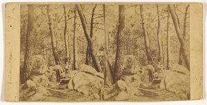 Fontainebleau