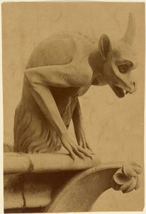 [Wasserspeier, Notre-Dame]