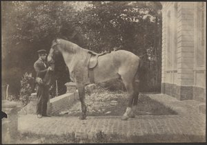 [Pferd und Mann]