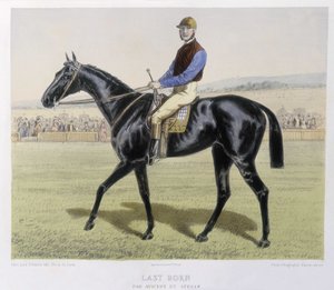 Reiten: Letztgeborener - in „the Centaure“