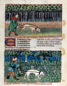 Wie man Hunde führt Miniatur aus „Das Buch der Jagd“ von Gaston III Phoebus, Graf von Foix, Herr von Béarn (1331-1391) von Unknown artist
