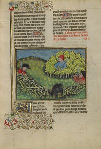 Jäger treiben einen Wildschwein in eine Grube von Unknown artist
