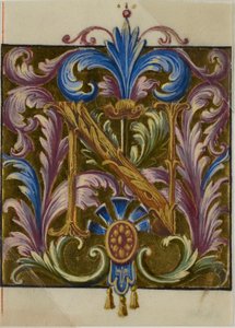 Illuminierte Initiale "N" mit Akanthusblättern aus einem Chorbuch