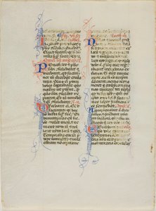 Illuminierte Manuskriptseite von Unknown artist
