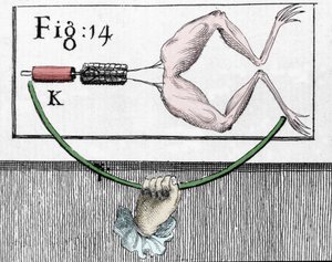 Illustration von Experimenten von Luigi Galvani, italienischer Physiker und Arzt (1737 - 1798), die den Durchgang von elektrischem Strom erklären, der die Beine eines Frosches bewegt von Unknown artist
