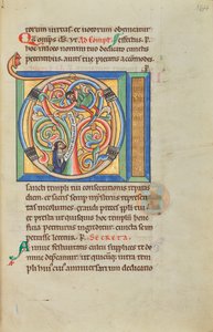 Initiale D: Zachäus und Christus