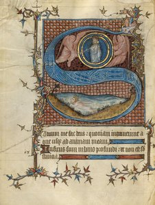 Initiale S: David im Wasser