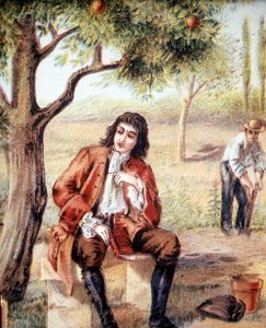 Isaac Newton (1642-1727), englischer Mathematiker, Physiker und Astronom, entdeckt die Theorie der Gravitation durch die Beobachtung des Falls eines Apfelbaums, eine Illustration aus dem 19. Jahrhundert.