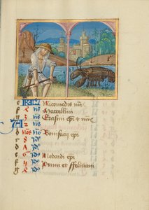 Juni Kalenderseite; Mähen; Krebs von Unknown artist