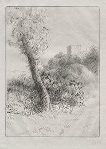 Landschaft