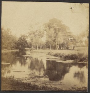 Landschaft mit Teich von Unknown artist