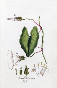 Große Winde