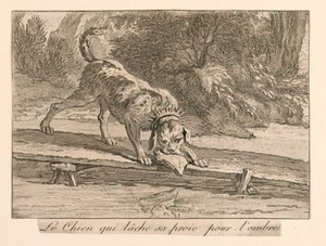 "Der Hund, der seine Beute für den Schatten aufgibt" aus La Fontaines Fabeln von Unknown artist