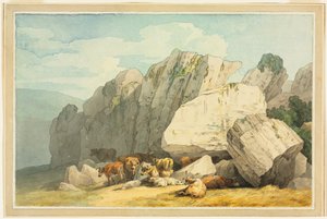 Leigh Tor Felsen bei Poundsgate, in der Nähe der New Bridge am Dart, Devon