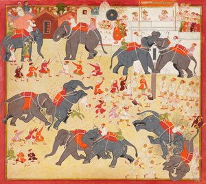 Maharana Raj Singh beobachtet einen Elefantenkampf von Unknown artist