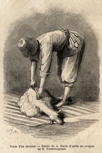 Schafschur durch einen jungen Tataren in Schuscha (Transkaukasien, Russland). Illustration der Reise in die Provinzen des Kaukasus, von Basile Vereschaguine, 1864-1865, veröffentlicht in "le tour du monde", unter der Leitung von D